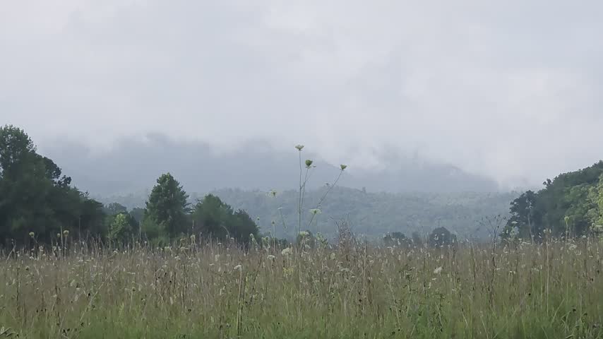 misty foggy summer morning mountain scenery 