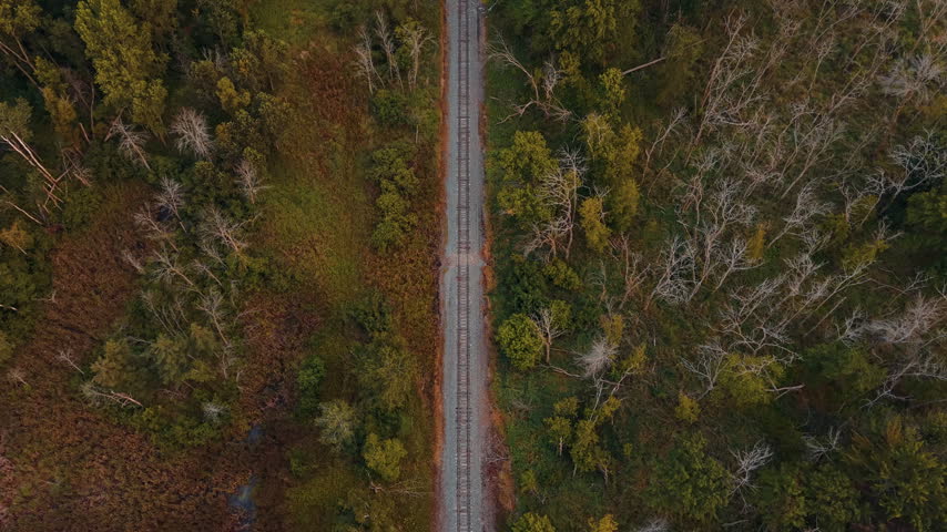 Rail Tracks Run Through A Dense Forest Near Black Creek, Wisconsin During Dusk. Aerial top-down shot