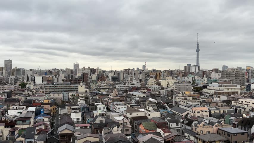 Overcast view of Tokyo Japan with Skytree and dense urban landscape