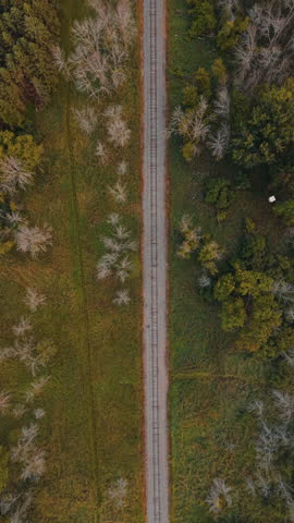 Vertical Aerial Topdown Shot View Of A Railroad Through A Conifer Forest Near Black Creek, Wisconsin