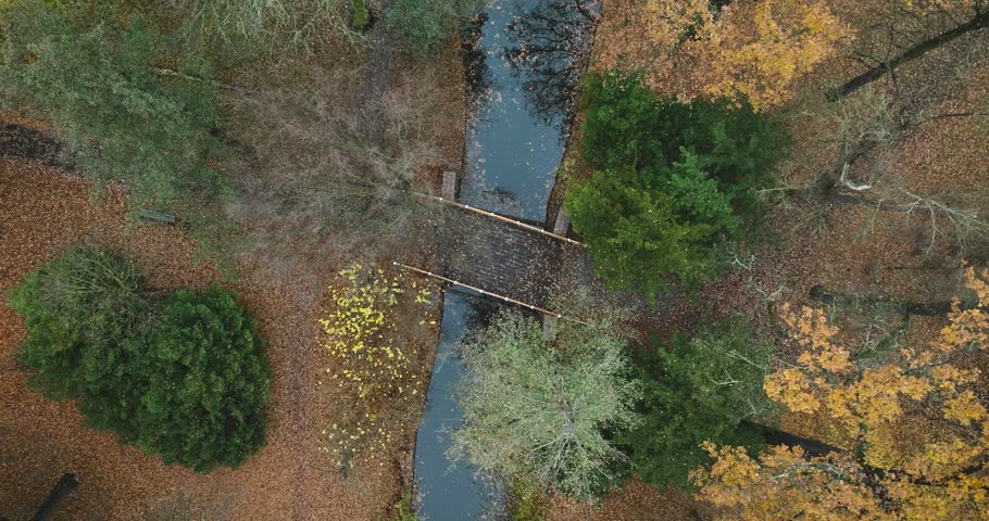 Drone footage captures a serene footbridge amidst a vibrant autumn landscape with colorful leaves and a tranquil stream below