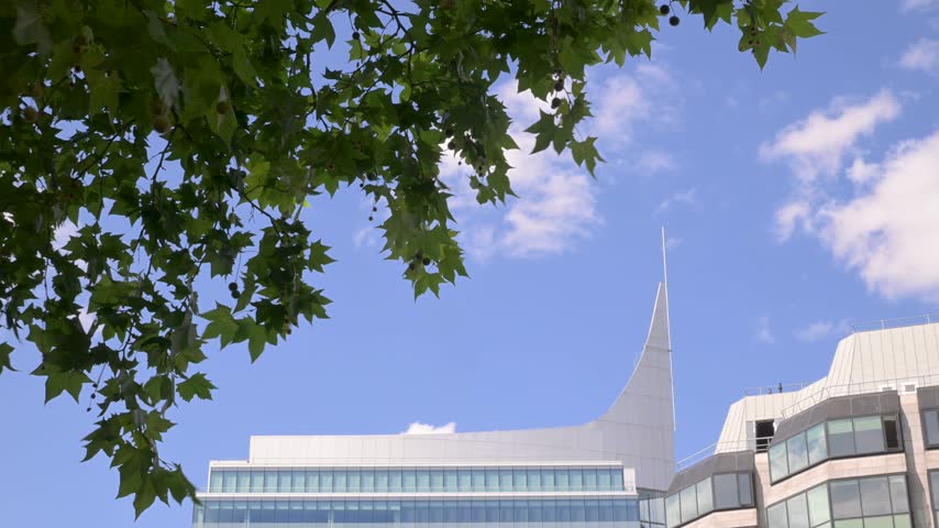 Green leaves sway in the foreground while The Blade office tower rises against a bright blue sky with light clouds.