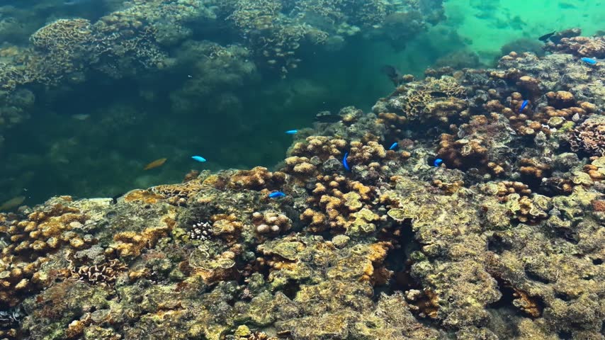 Coral Reefs And Tropical Fishes Seen Through Shallow, Clear Waters Of Bisezaki In Motobu, Okinawa, Japan. High-angle Shot