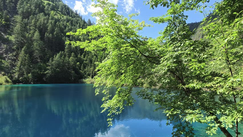 Jiuzhaigou 4K Turquoise Lake with Blue Sky White Clouds, Distant Mountains, and Trees Swaying in Wind, Sichuan, China