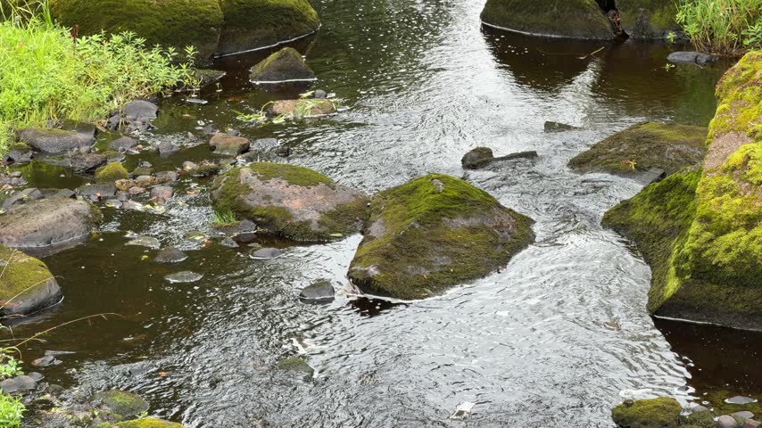 Dynamic mountain stream flow: clear water rushing over moss-covered boulders and textured riverbed stones.
