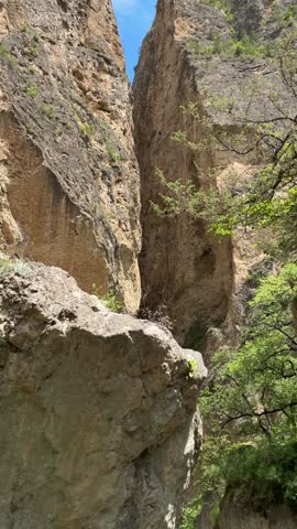 Dramatic natural gorge with steep rock faces, vibrant foliage, and clear sky above, pristine wilderness, scenic landscape, daylight outdoor.