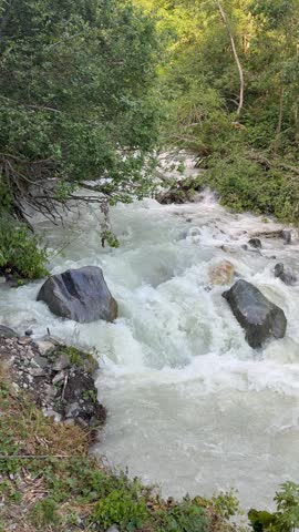 Rapid mountain river rushing rocks green forest trees water flow foaming rapids white water wilderness nature landscape current cascading bubbling stream.