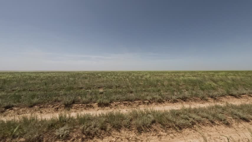 Wide view of grassland terrain under a clear blue sky, featuring a dirt path cutting through the green vegetation and sandy soil