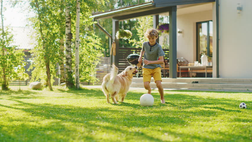 Handsome Young Boy Plays Soccer with Happy Golden Retriever Dog at the Backyard Lawn. He Pets, Plays Football and Has Lots of Fun with His Loyal Doggy Friend. Idyllic Summer House. Slow Motion