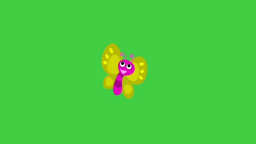 Cute insect animation, cartoon butterfly, green background 
