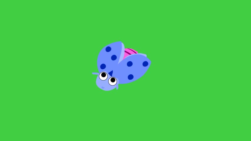 Cute insect animation, cartoon ladybug, green background 