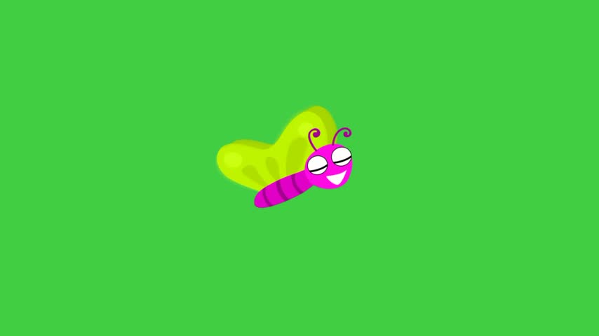 Cute insect animation, cartoon butterfly, green background 