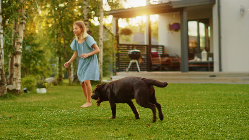 Beautiful Family of Three Play Fetch Toy Ball with Happy Brown Labrador Retriever Dog on the Backyard Lawn. Idyllic Family Has Fun with Loyal Pedigree Dog Outdoors in Summer House. Slow Motion
