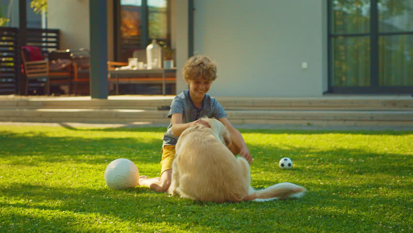 Boy Has fun with Happy Golden Retriever Dog on the Backyard Lawn. She Pets, Play, Tackle it on the Ground And Scratches Stomach. Pedigree Dog Holds Toy Football in Jaws. Idyllic Summer House