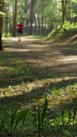 Blurry runner on sunlit trail surrounded by trees