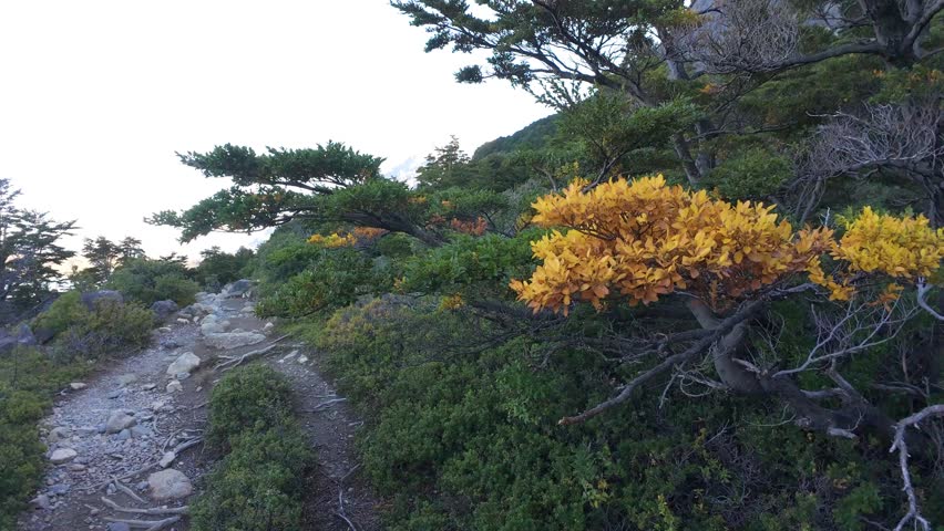 Early Autumn Colors Along W Trek In Torres Del Paine National Park Patagonia Chile