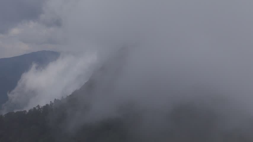 Low visibility from fog and cloud on green mountain peak in Shikoku, Japan