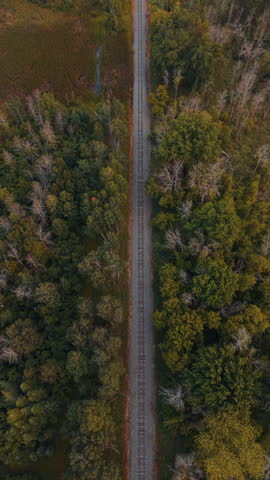 Railway Track Running Through Dense Forest, Surrounded By Trees And Green Vegetation Near Black Creek, Wisconsin, United States. Vertical, Aerial Forwarding Shot