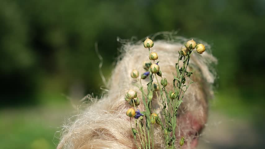 Natural flax stalks with seed pods and raw flax fiber in a woman