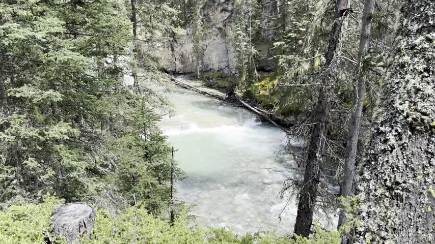 Johnston Creek river in Johnston Canyon in the Banff National Park. British Columbia, Canada. A tranquil river flows through a dense forest with vibrant greenery and rocky banks