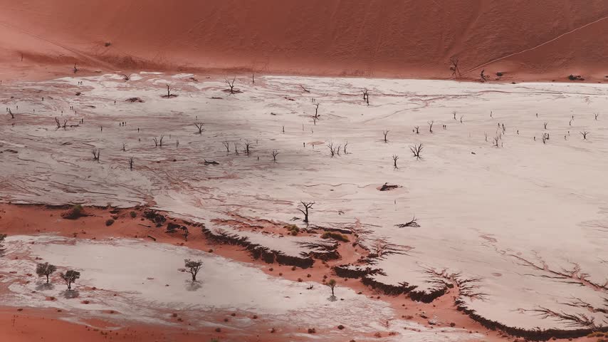 Aerial view of Sossusvlei and Deadvlei in Namibia shows white clay pan, dead camelthorn trees, red dunes, tiny groups walking, wide composition, soft natural light.