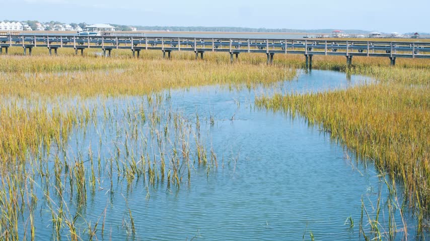 Flowing salt water tidal creek at a very high tide with marsh grass, and a dock boardwalk, 4k, slow motion.