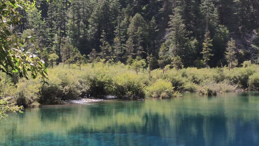 Jiuzhaigou 4K Sparkling Turquoise Water Surface with Distant Green Forest in Summer, Sichuan, China