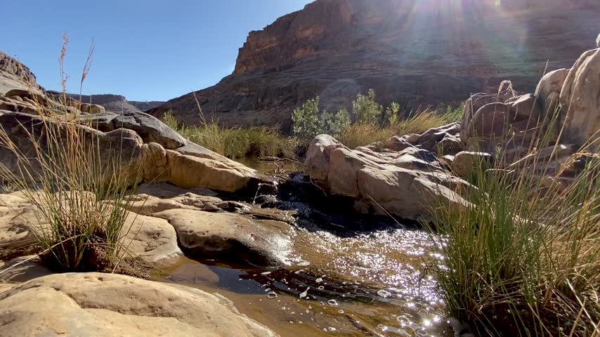 A scenic view of a small, clear stream flowing over smooth sandstone rocks in a desert canyon, surrounded by tall grasses under a bright, sunny sky.