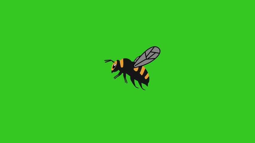 Animated cartoon flyng bee with flapping wings isolated green