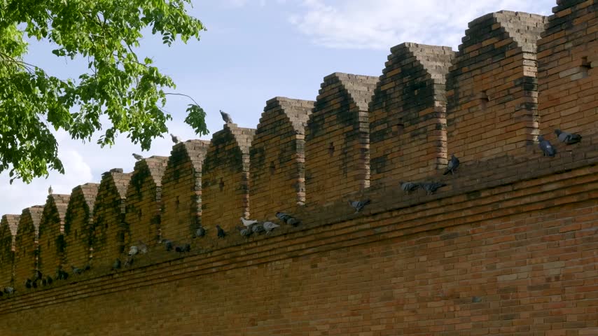 Flock of pigeons perching on historic orange brick ramparts under sunny blue sky. Cinematic footage captures movement of urban birds landing on old fortress architecture in Thailand.