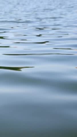 A red and white striped fishing float bobs upright on rippling lake water, moving gently up and down as small waves spread outward around its base throughout the session.