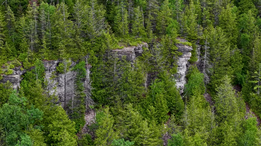 A wide overhead view shows rocky cliffside vegetation across the Tobermory region along the remote Ontario coast