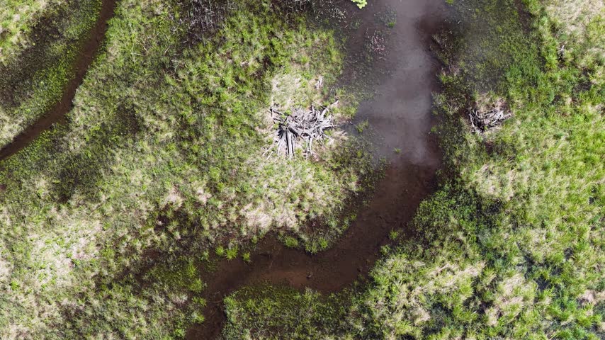 The camera flies over forests rocky ridges and inland water across northern Ontario in a broad cinematic landscape