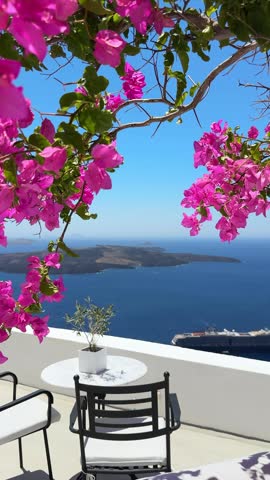 White architecture in Santorini island, Greece. Beautiful terrace with blooming pink flowers. Blue sea and the blue sky at sunny day. Travel and summer vacation concept. Vertical video
