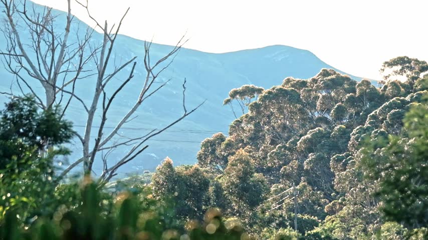 Beautiful landscape with mountains and trees