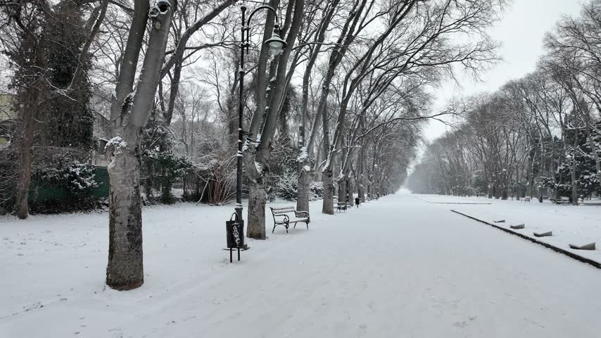 Serene Winter Landscape with a Long Snow-Covered Park Avenue, Rows of Empty Benches on Quiet Winter Day, Peaceful Snowy Pathway