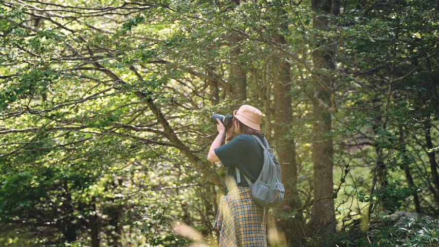 Female travel photographer taking photos with a DSLR camera while walking through a beautiful green forest, capturing nature exploration, outdoor adventure and travel photography.