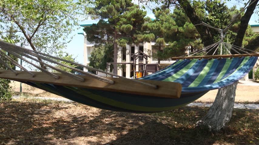 A hammock suspended between two tree branches in a public park.