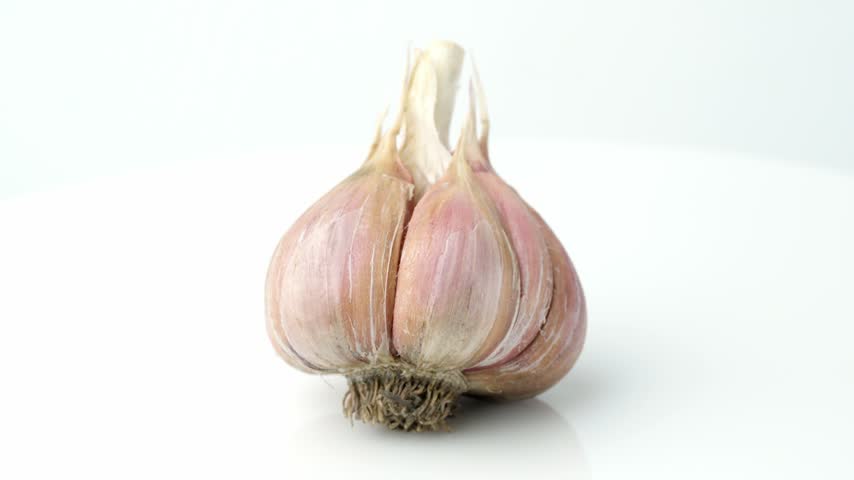 Single organic garlic bulb rotating isolated on white background. Harvesting and agriculture. Farming. Vegetables.