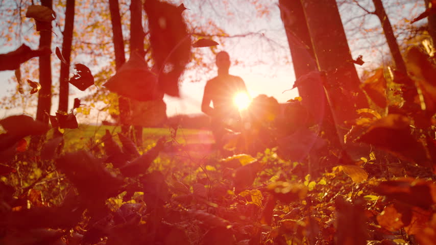 LENS FLARE, SLOW MOTION, DOF, LOW ANGLE, CLOSE UP: Female athlete runs through glowing autumn forest as fallen leaves swirl and scatter in front of camera. Evening sports activity in golden sunlight.