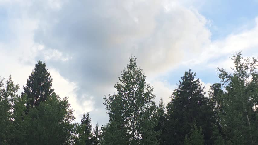 The sun is setting in the afternoon sky. Trees stand tall beneath the clouds. A peaceful moment in a green area surrounded by nature.