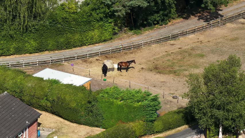 Aerial footage looking down over horses in a fenced paddock near Thirsk Yorkshire with hay bale mature trees dense hedges and a rural track creating a peaceful North Yorkshire countryside scene