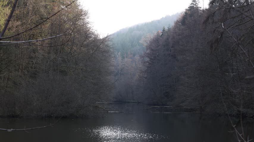 Forest pond in a misty valley in the Palatinate Forest, Germany. Panning shot of dark still water, bare trees and hazy wooded slopes on a grey early spring day, Rhineland Palatinate