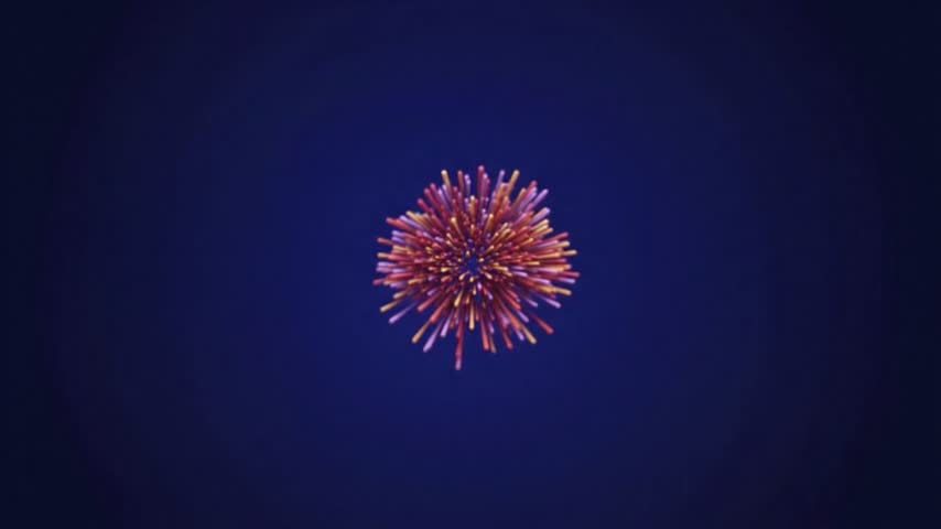 Colorful firework explosion in dark sky