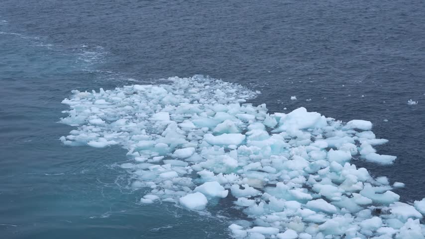 Antarctica Floating Ice Bergy Bits, Icebergs, River of Frozen Pieces Close View From Ship. Climate Change Global Warming Melting Ice Caps