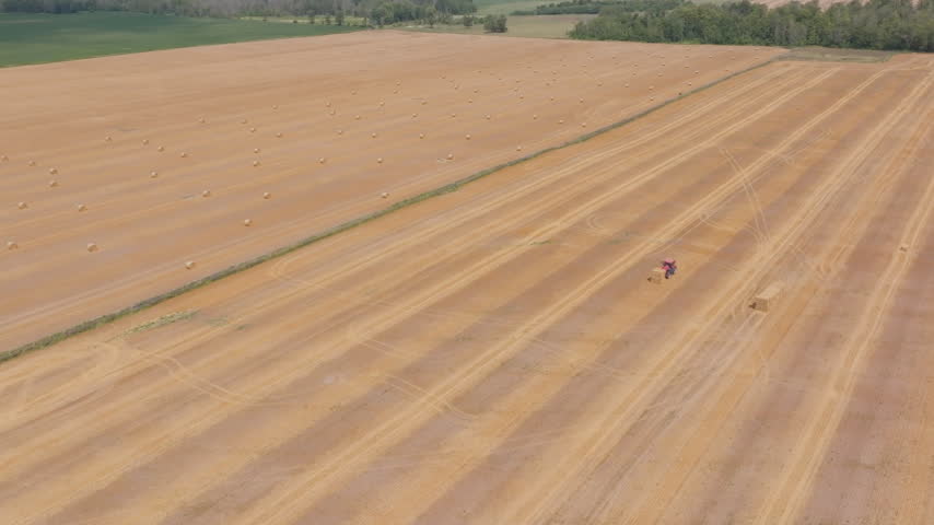A red tractor works in a wide golden field in Bruce County Ontario. Parallel tire tracks and scattered round straw bales cover the textured landscape.