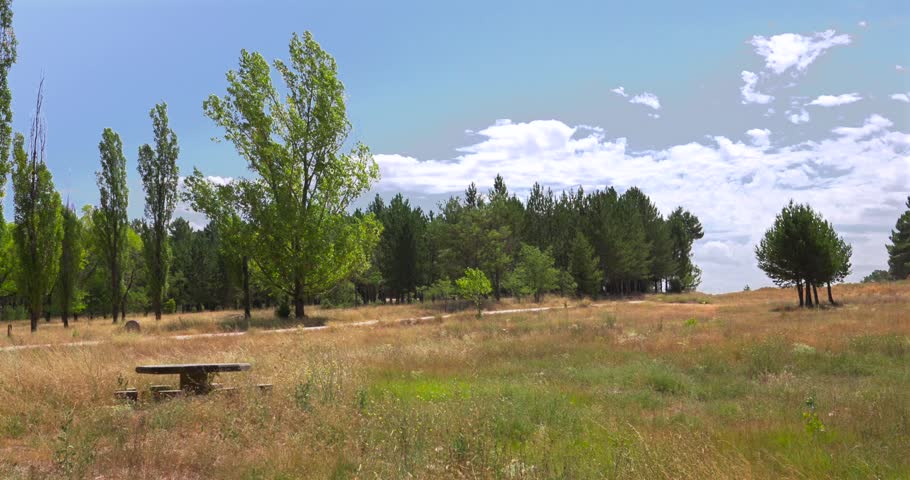 Serene rural scenery with a green meadow, a forest of pines and poplars, and a stone picnic table under a partly cloudy sky