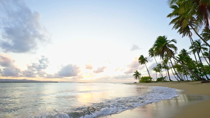 Palm beach against the backdrop of an inspiringly calm sea and sunset sky. A meditative ocean and sky backdrop. Colorful horizon over water. Dreamy sunset sky and relaxing summer sunset mood.
