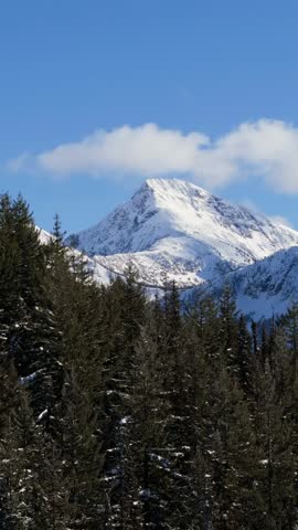 Majestic Snow Mountain and Winter Forest Under Blue Sky in British Columbia, Canada
