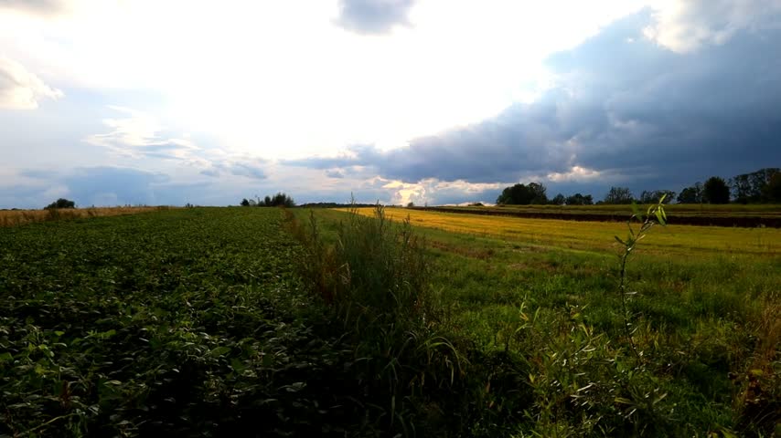 A wide-angle shot captures a picturesque agricultural field under a cloudy evening sky during sunset. The camera smoothly pans across the spacious green landscape as sunlight breaks through the clouds,